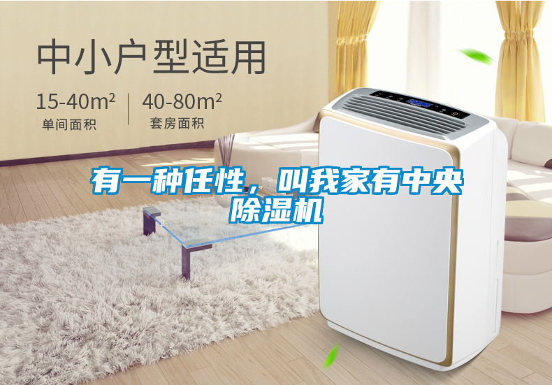 有一種任性，叫我家有中央除濕機