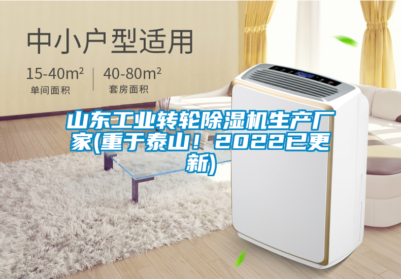 山東工業(yè)轉(zhuǎn)輪除濕機生產(chǎn)廠家(重于泰山！2022已更新)