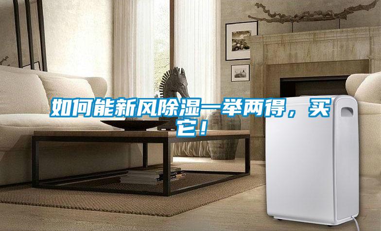 如何能新風除濕一舉兩得，買它！