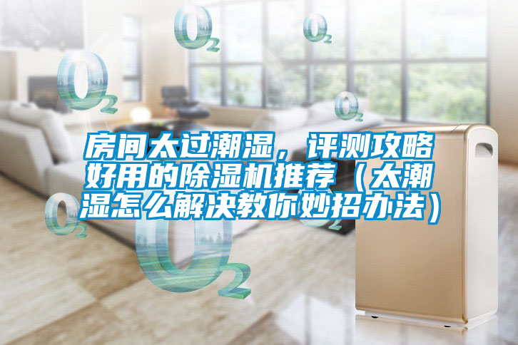 房間太過潮濕，評(píng)測攻略好用的除濕機(jī)推薦（太潮濕怎么解決教你妙招辦法）