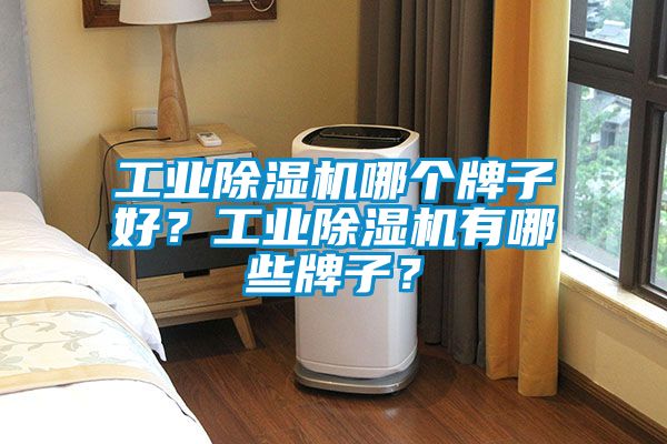 工業(yè)除濕機(jī)哪個(gè)牌子好？工業(yè)除濕機(jī)有哪些牌子？