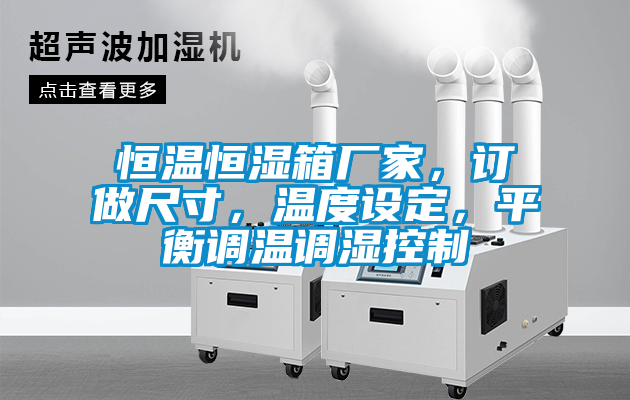 恒溫恒濕箱廠家，訂做尺寸，溫度設(shè)定，平衡調(diào)溫調(diào)濕控制