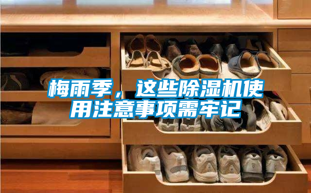 梅雨季，這些除濕機使用注意事項需牢記