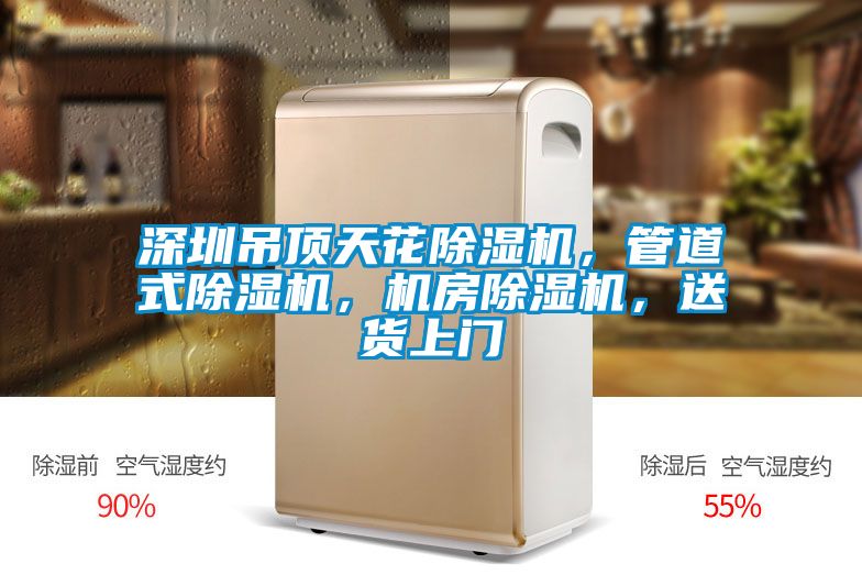 深圳吊頂天花除濕機(jī)，管道式除濕機(jī)，機(jī)房除濕機(jī)，送貨上門