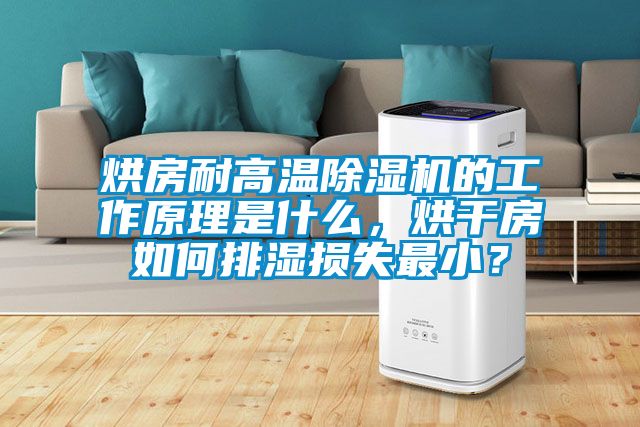 烘房耐高溫除濕機(jī)的工作原理是什么，烘干房如何排濕損失最?。?/></p>
						    <p style=