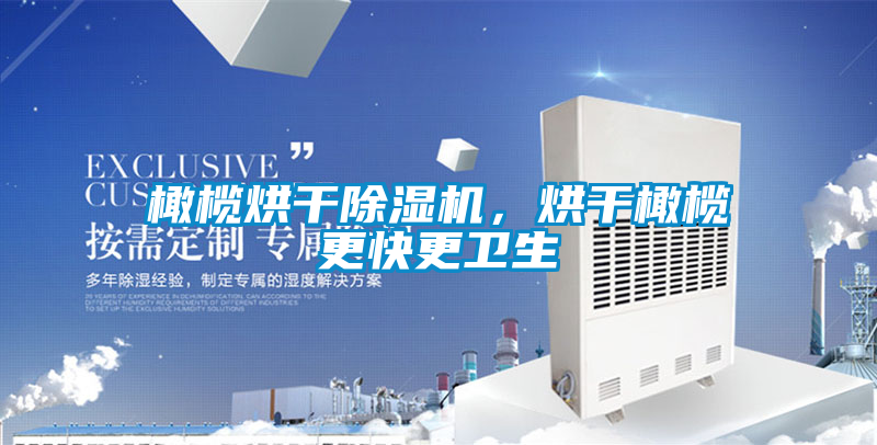 橄欖烘干除濕機(jī)，烘干橄欖更快更衛(wèi)生