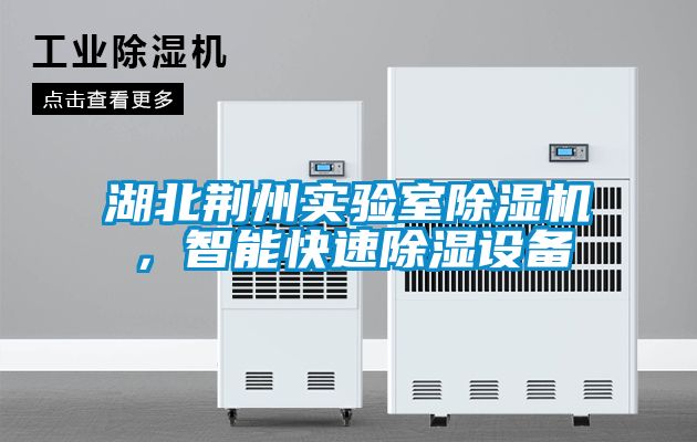 湖北荊州實驗室除濕機，智能快速除濕設(shè)備