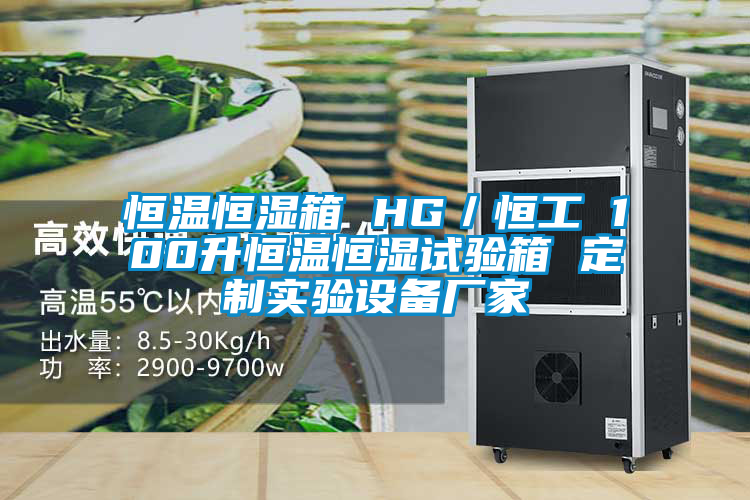 恒溫恒濕箱 HG／恒工 100升恒溫恒濕試驗(yàn)箱 定制實(shí)驗(yàn)設(shè)備廠(chǎng)家