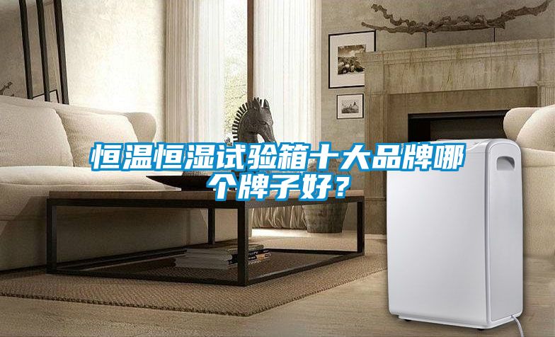 恒溫恒濕試驗箱十大品牌哪個牌子好？