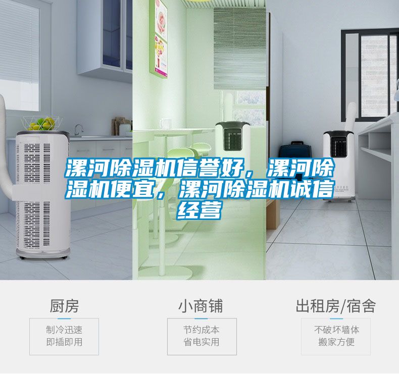 漯河除濕機信譽好，漯河除濕機便宜，漯河除濕機誠信經(jīng)營