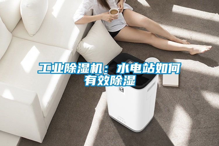 工業(yè)除濕機(jī):水電站如何有效除濕