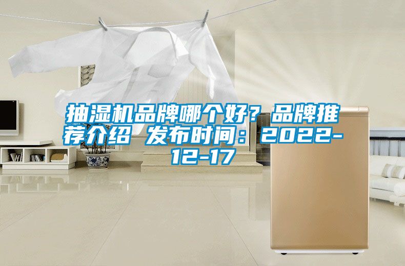 抽濕機(jī)品牌哪個好？品牌推薦介紹 發(fā)布時間：2022-12-17