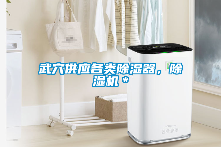 武穴供應(yīng)各類除濕器，除濕機(jī)＊