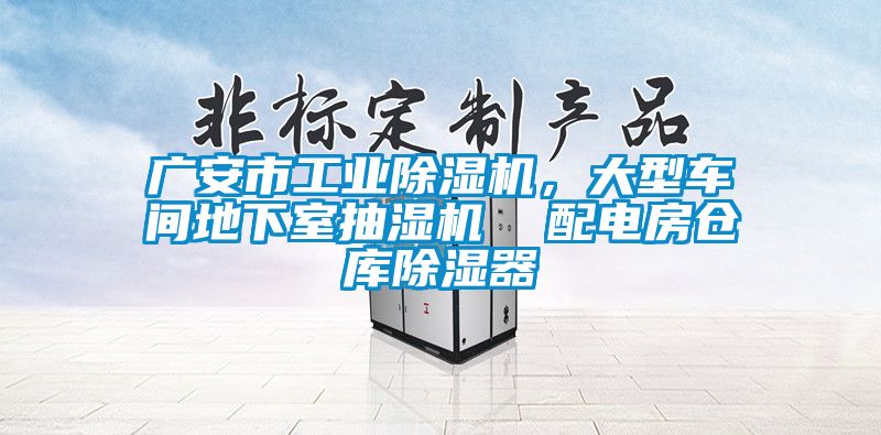 廣安市工業(yè)除濕機，大型車間地下室抽濕機  配電房倉庫除濕器