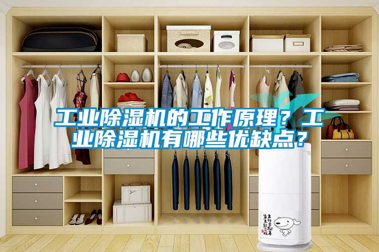工業(yè)除濕機(jī)的工作原理？工業(yè)除濕機(jī)有哪些優(yōu)缺點(diǎn)？