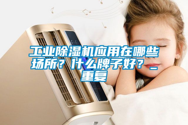 工業(yè)除濕機應(yīng)用在哪些場所？什么牌子好？_重復(fù)