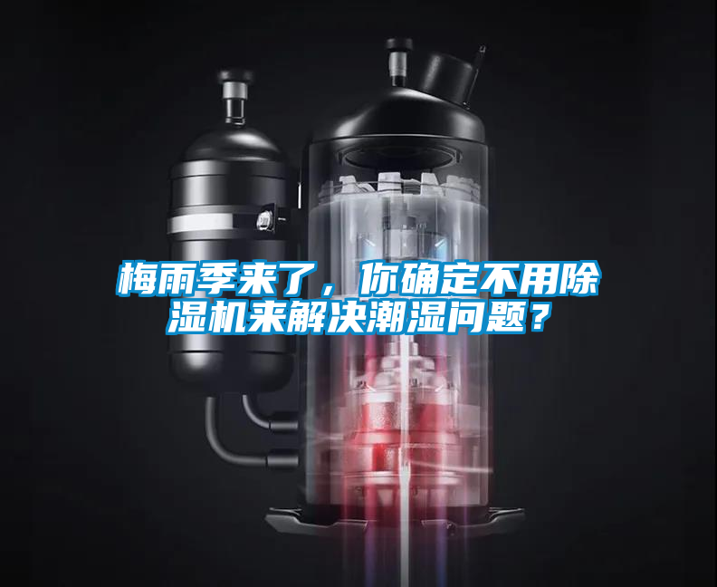 梅雨季來了，你確定不用除濕機來解決潮濕問題？