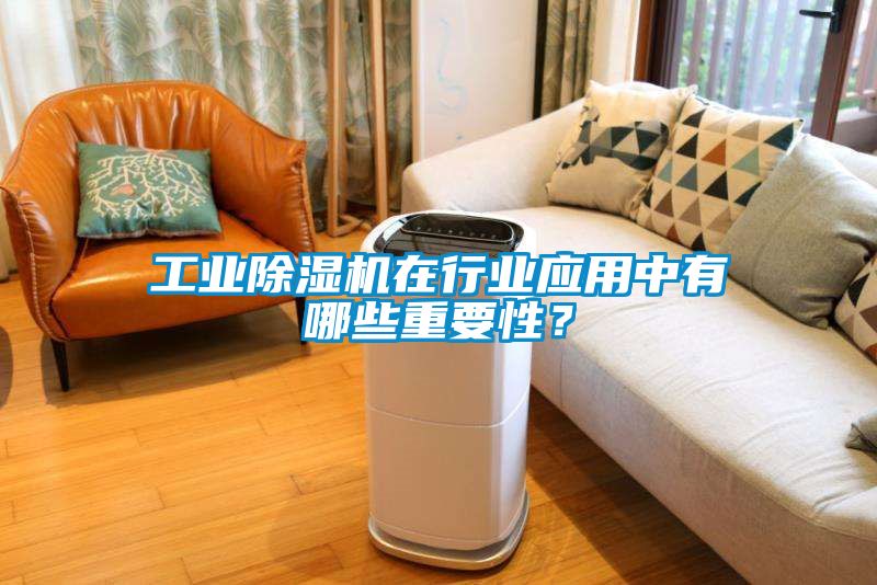 工業(yè)除濕機在行業(yè)應用中有哪些重要性？