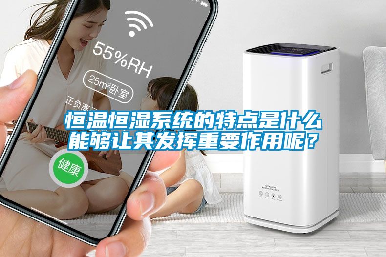 恒溫恒濕系統(tǒng)的特點(diǎn)是什么能夠讓其發(fā)揮重要作用呢？