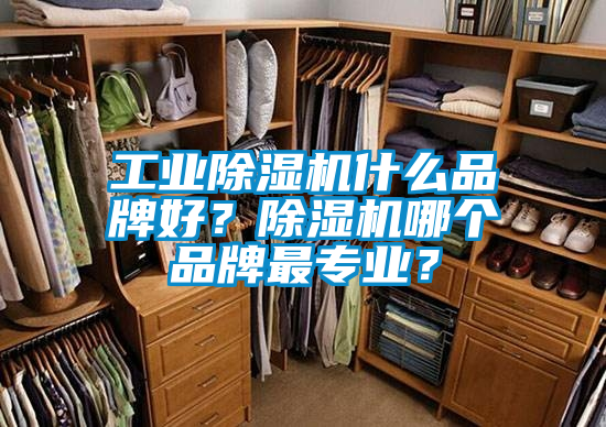 工業(yè)除濕機(jī)什么品牌好？除濕機(jī)哪個品牌最專業(yè)？