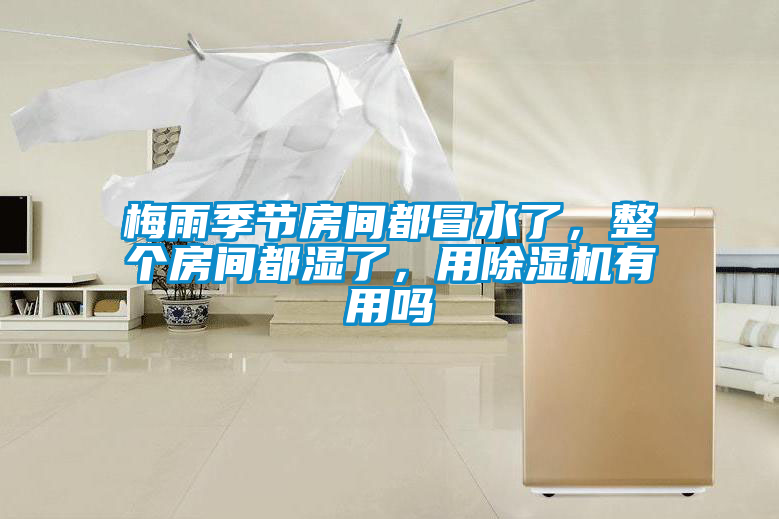 梅雨季節(jié)房間都冒水了，整個(gè)房間都濕了，用除濕機(jī)有用嗎