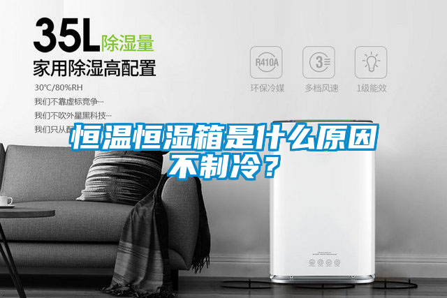 恒溫恒濕箱是什么原因不制冷?