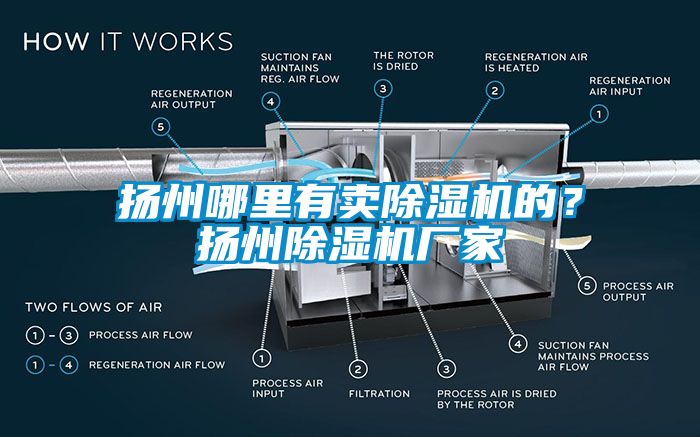 揚州哪里有賣除濕機的？揚州除濕機廠家