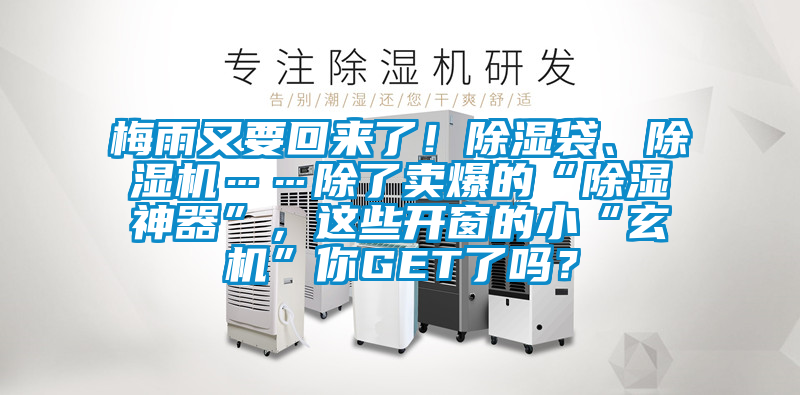 梅雨又要回來了！除濕袋、除濕機(jī)……除了賣爆的“除濕神器”，這些開窗的小“玄機(jī)”你GET了嗎？