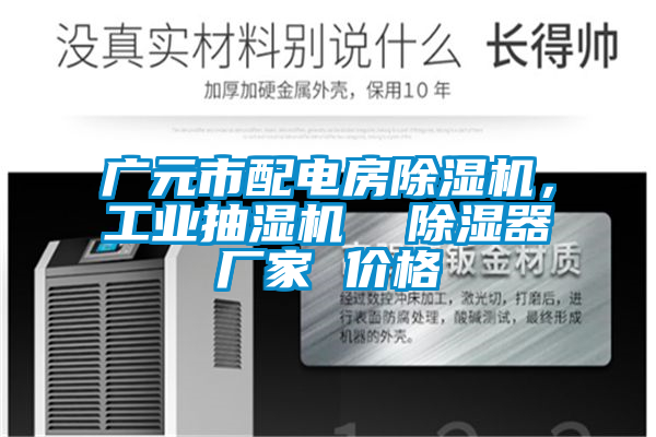 廣元市配電房除濕機，工業(yè)抽濕機  除濕器廠家 價格
