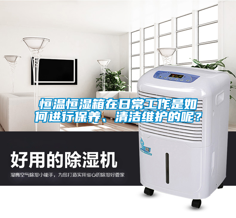 恒溫恒濕箱在日常工作是如何進(jìn)行保養(yǎng)、清潔維護(hù)的呢？