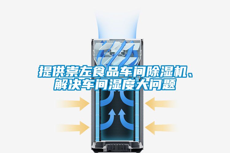 提供崇左食品車間除濕機(jī)、解決車間濕度大問題