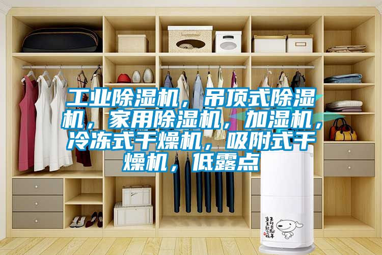 工業(yè)除濕機，吊頂式除濕機，家用除濕機，加濕機，冷凍式干燥機，吸附式干燥機，低露點