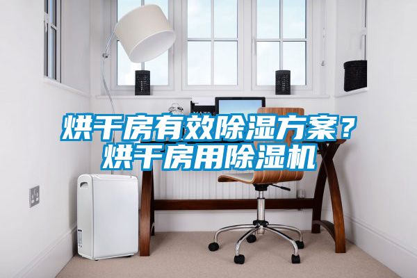 烘干房有效除濕方案？烘干房用除濕機