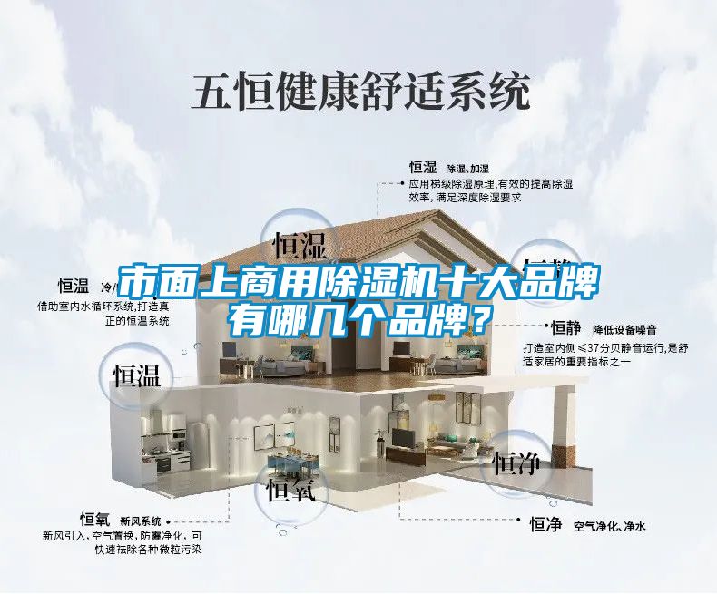 市面上商用除濕機(jī)十大品牌有哪幾個品牌？