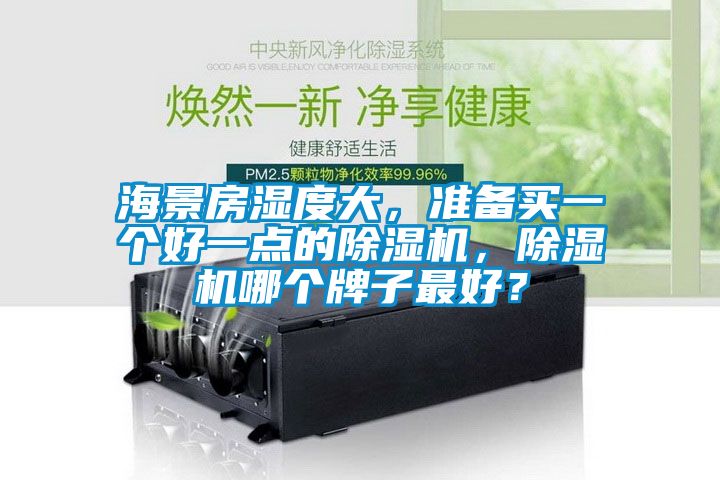 海景房濕度大，準(zhǔn)備買(mǎi)一個(gè)好一點(diǎn)的除濕機(jī)，除濕機(jī)哪個(gè)牌子最好？