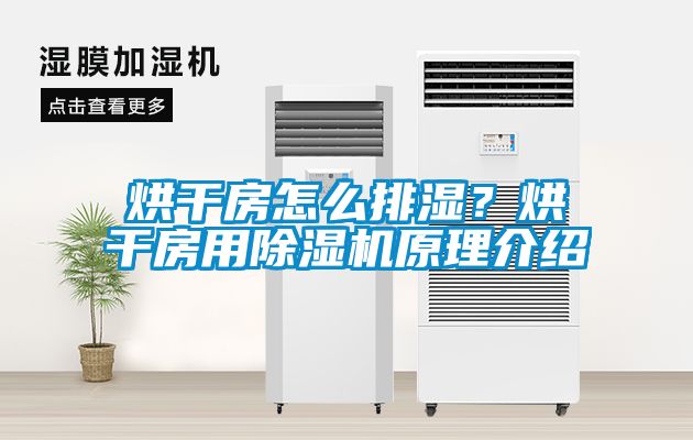 烘干房怎么排濕？烘干房用除濕機(jī)原理介紹