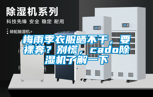 梅雨季衣服曬不干，要裸奔？別慌，cado除濕機了解一下