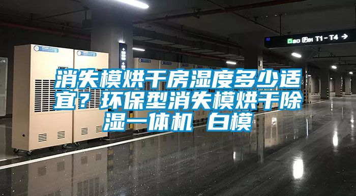 消失模烘干房濕度多少適宜？環(huán)保型消失模烘干除濕一體機(jī) 白模