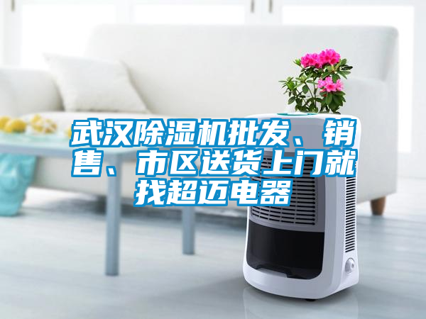 武漢除濕機(jī)批發(fā)、銷售、市區(qū)送貨上門就找超邁電器