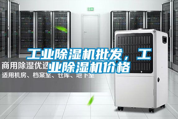 工業(yè)除濕機批發(fā)，工業(yè)除濕機價格