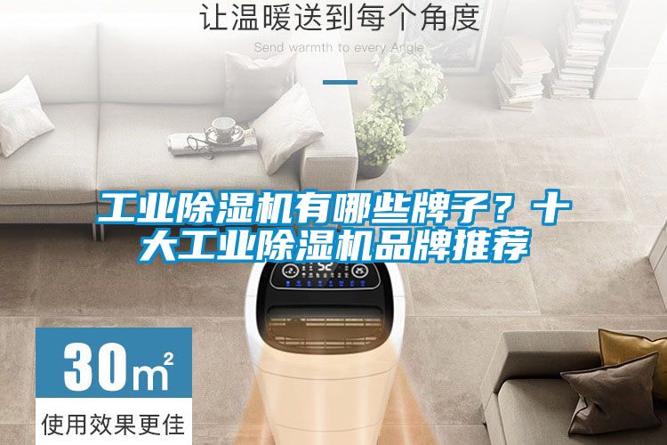 工業(yè)除濕機(jī)有哪些牌子？十大工業(yè)除濕機(jī)品牌推薦