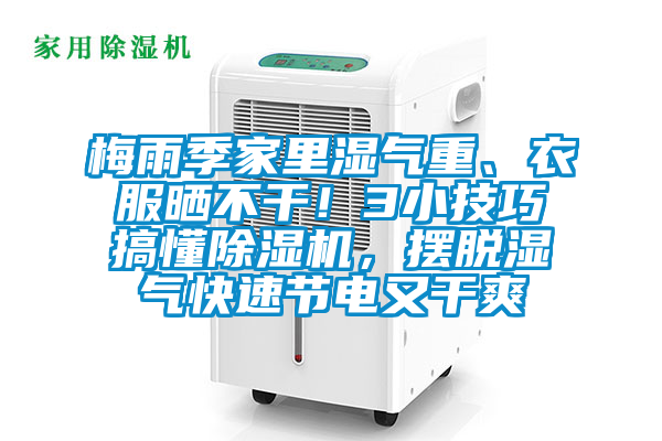 梅雨季家里濕氣重、衣服曬不干！3小技巧搞懂除濕機，擺脫濕氣快速節(jié)電又干爽