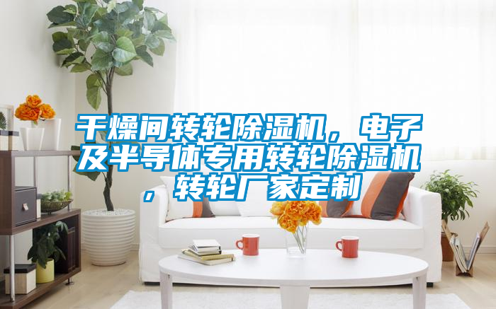 干燥間轉(zhuǎn)輪除濕機(jī)，電子及半導(dǎo)體專用轉(zhuǎn)輪除濕機(jī)，轉(zhuǎn)輪廠家定制
