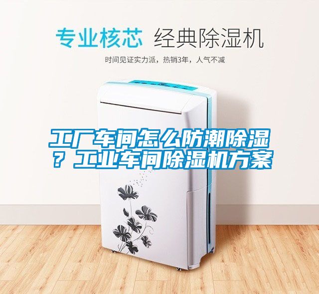 工廠車間怎么防潮除濕？工業(yè)車間除濕機方案