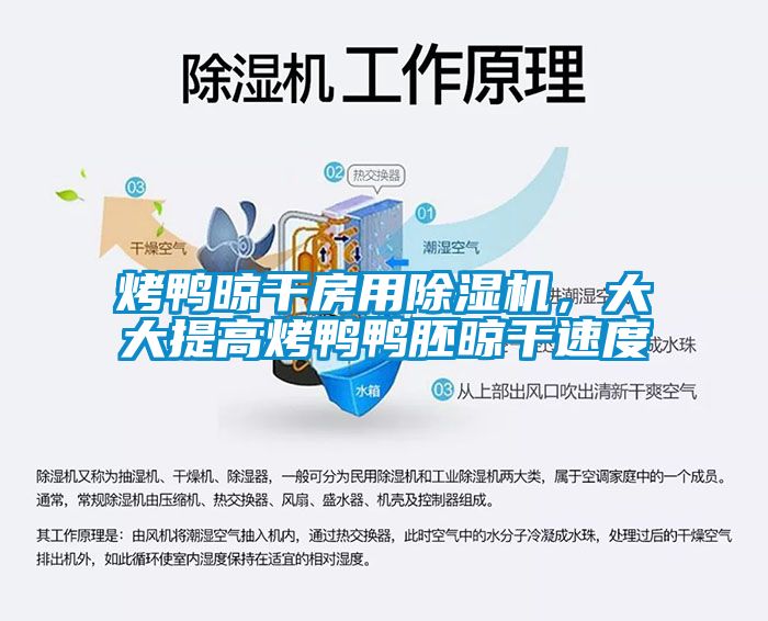 烤鴨晾干房用除濕機(jī)，大大提高烤鴨鴨胚晾干速度