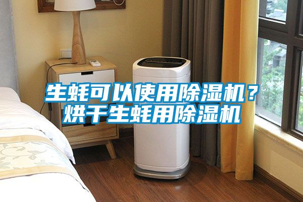 生蠔可以使用除濕機(jī)？烘干生蠔用除濕機(jī)