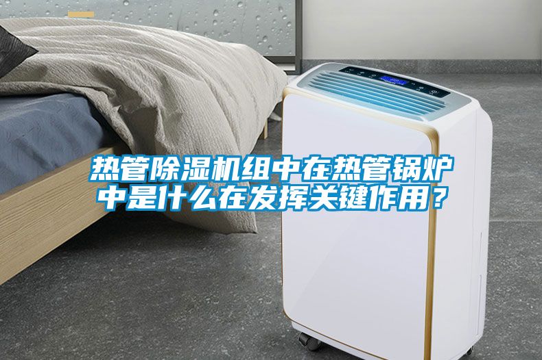 熱管除濕機組中在熱管鍋爐中是什么在發(fā)揮關(guān)鍵作用？