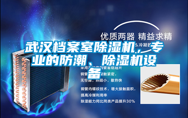 武漢檔案室除濕機(jī)，專業(yè)的防潮、除濕機(jī)設(shè)備
