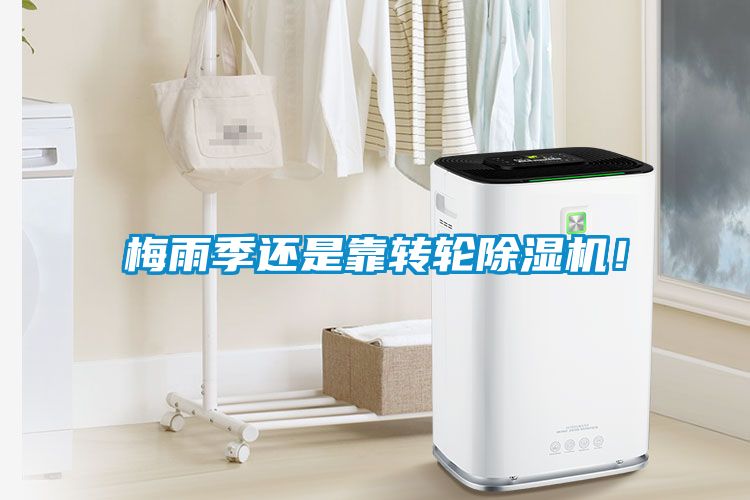 梅雨季還是靠轉(zhuǎn)輪除濕機(jī)！
