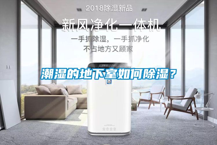 潮濕的地下室如何除濕？